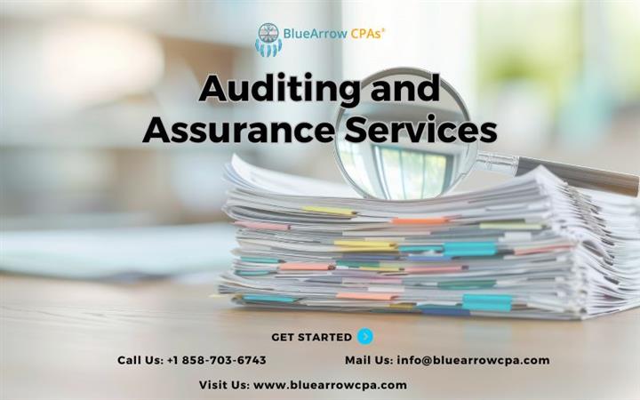 auditing and assurance service image 1