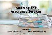 auditing and assurance service en San Diego