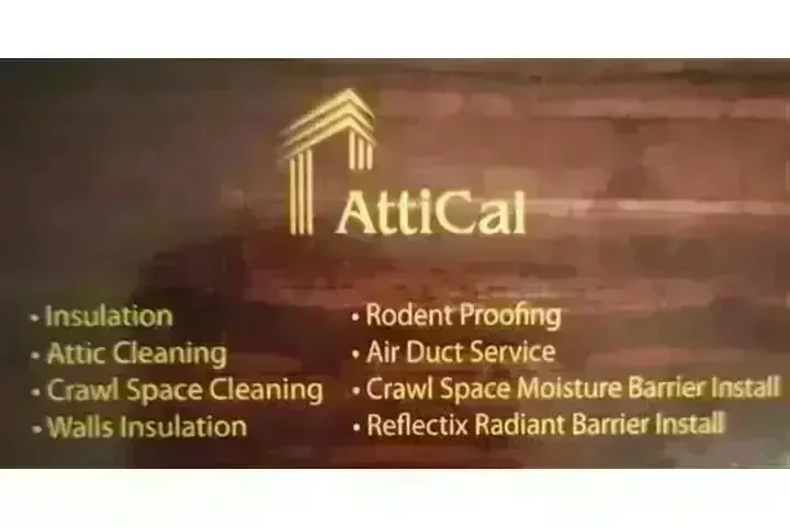 PEST CONTROL image 1