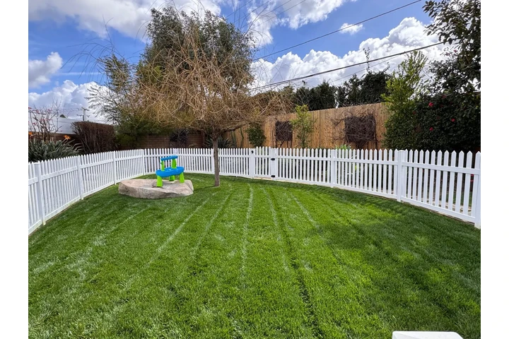 Professional Landscaping image 10