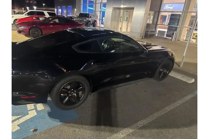 $14057 : Ford Mustang 2015 V6 2dr Fas image 6