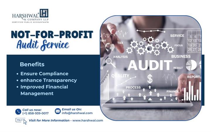 NotForProfit Audit Service image 1