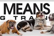 $1000 : Sit Means Sit Dog Training thumbnail