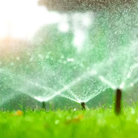 Greenhouse Irrigation image 5