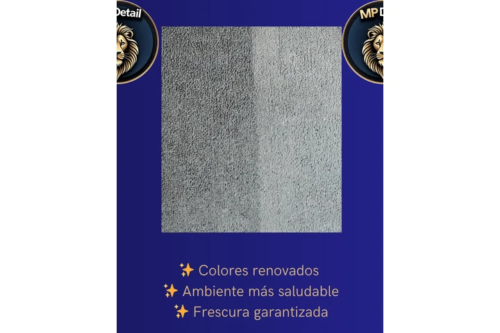 Limpieza de Tapizados image 3