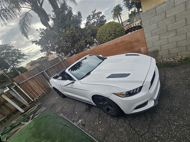 $13000 : Mustang convertible image 3