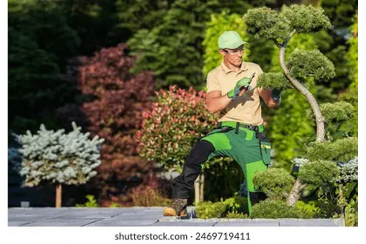 Contratos inmediatos. image 1