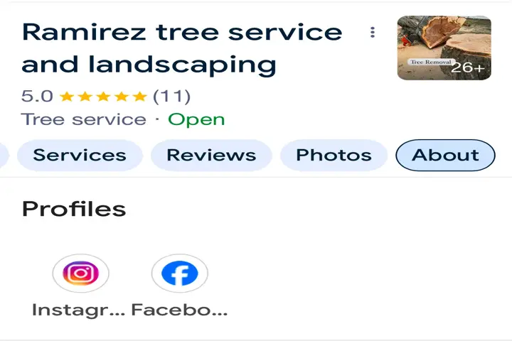 Ramirez Tree Services image 3