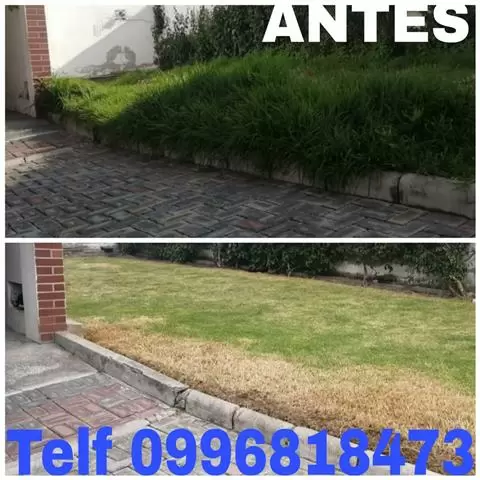 LIMPIEZA DE FACHADAS Y PISOS image 2