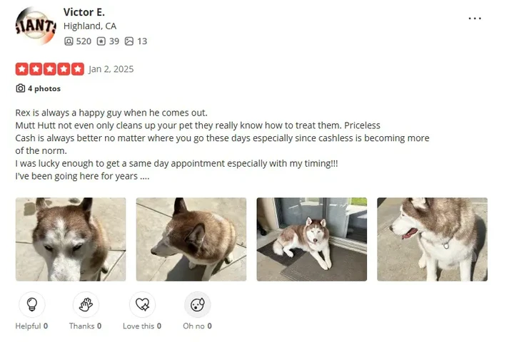 $95 : Rialto Pet Grooming image 6