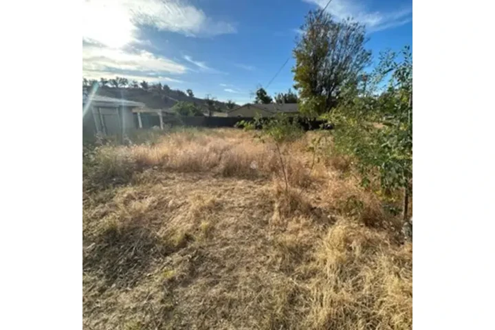 Palacios Landscaping image 5