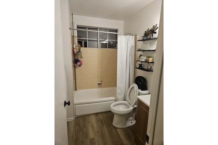 House cleanning image 2