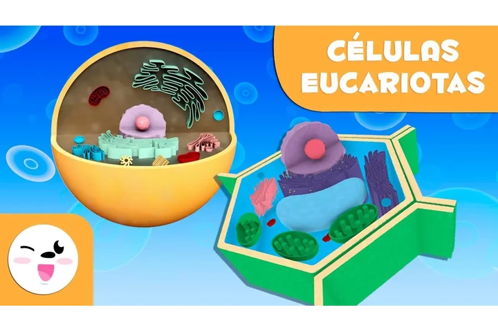 Clases de química y bioquímica image 1