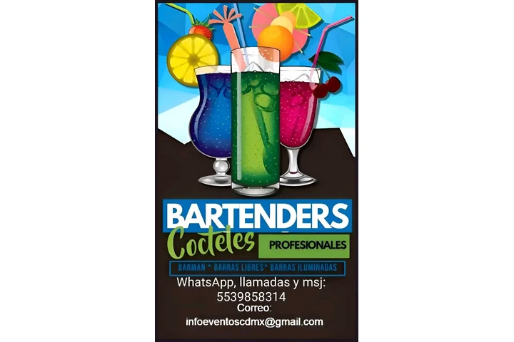 Bartender y coctelería image 1