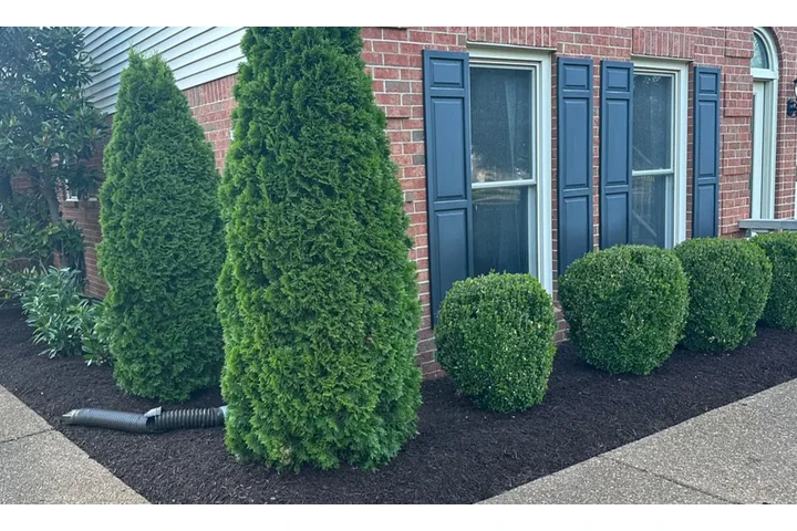 MC Landscaping image 1