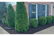 MC Landscaping