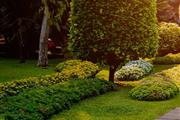 Robles Tree Services & Garden thumbnail 3