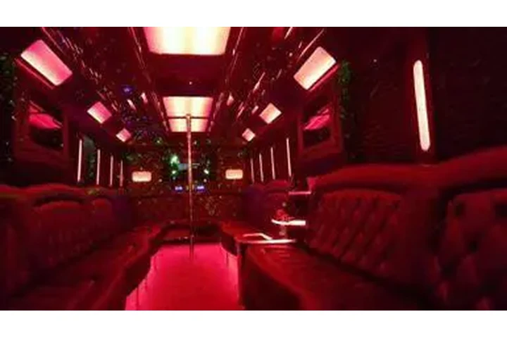 Party bus and Limousine image 7