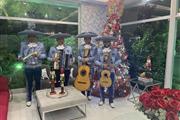 Mariachi en Santo Domingo thumbnail