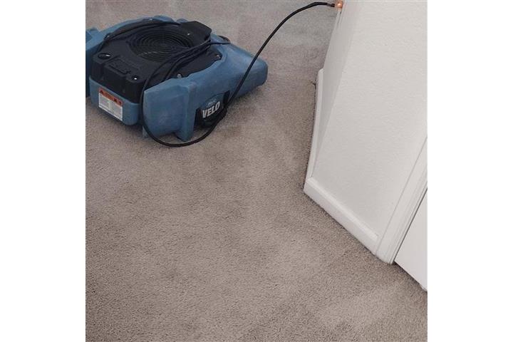 Carpet cleaning company image 3