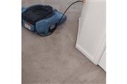 Carpet cleaning company thumbnail