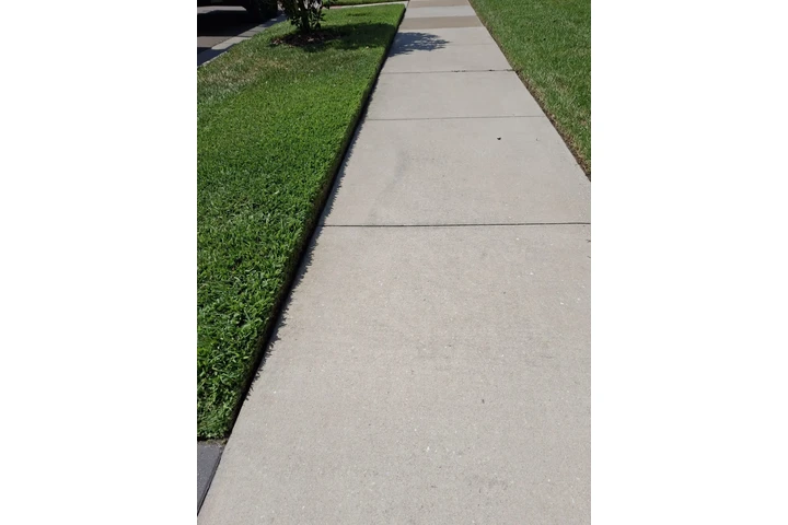 LANW CARE image 3