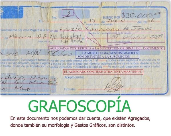 GRAFOSCOPÍA image 1