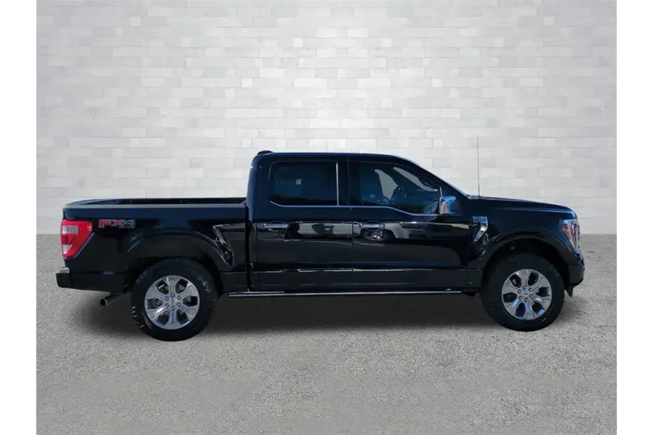 $40000 : Ford F-150 2023 4x4 Platinum image 3