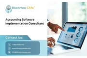 Acc. Software Imp. Consultant
