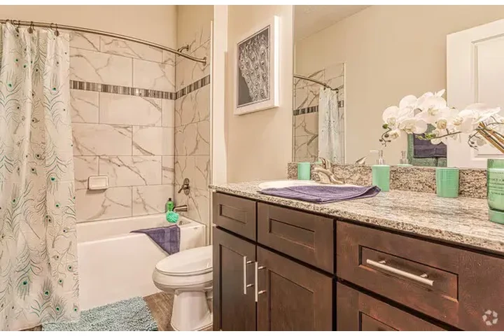 $1050 : 1bed 1bath image 5