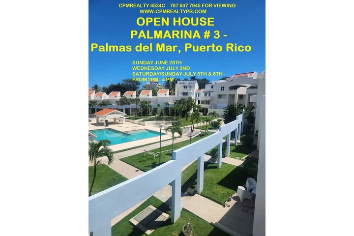 $450000 : OPEN HOUSE PALMARINA EN PALMAS image 9