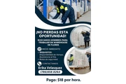 TRABAJO EN WAREHOUSE DE FLORES en Miami
