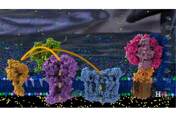Clases de Bioquimica y Quimica image 1