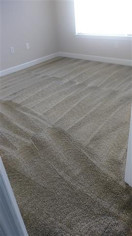 DCC SERVICES (CARPET ClEANING) image 4