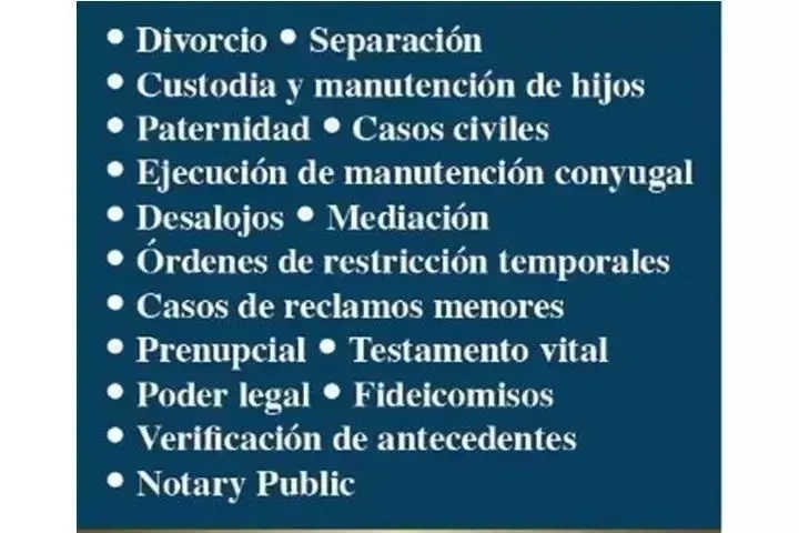 DIVORCIO? PREPARO SU DOCUMENTO image 2