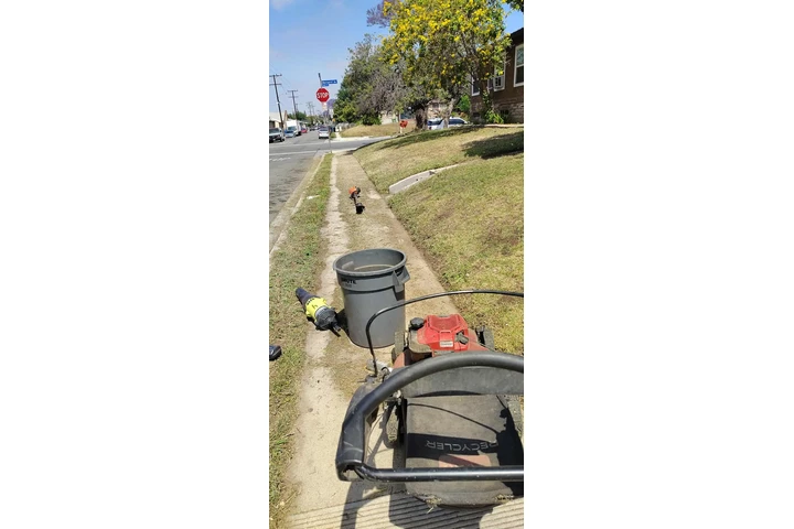 Corte de pasto 🌿👷🏼 image 3