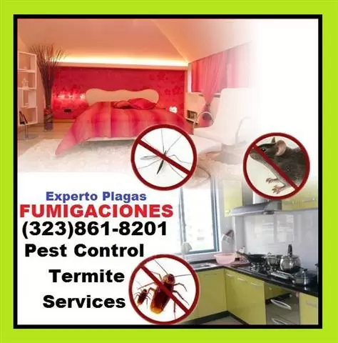 TERMITE*PEST CONTROL image 1