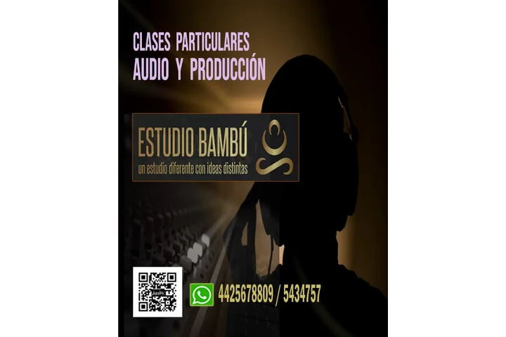 CLASES PARTICULARES DE AUDIO image 2