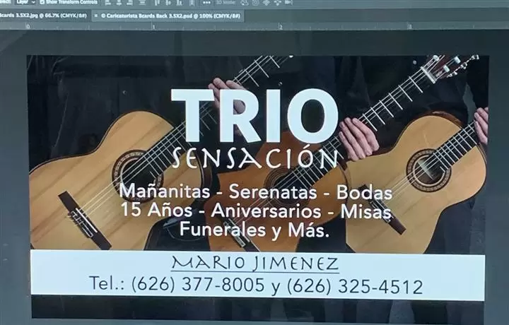 TRIO SENSACION (Musica en vivo image 1