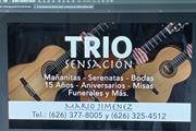 TRIO SENSACION (Musica en vivo en Los Angeles
