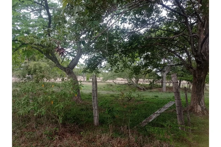 $85000000 : SE VENDE MAGNIFICO TERRENO image 4