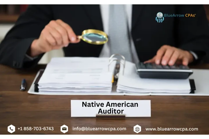 Expert Native American Auditor image 1