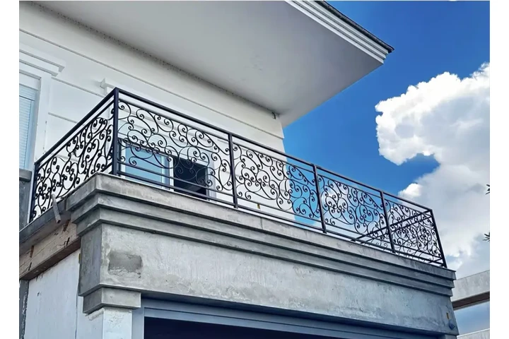 FENCES GASTES EXPRES image 9