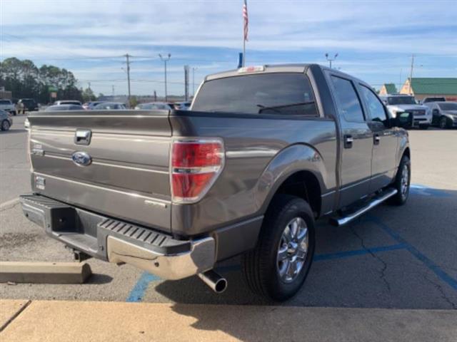 2013 F150 image 9