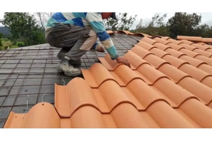 Tejas Españolas - 3108060810 image 1