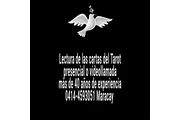 Lectura cartas del Tarot en Maracay