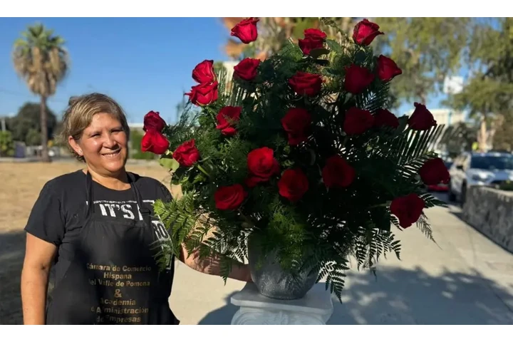 CG5 Flowers & Snack Bar image 8