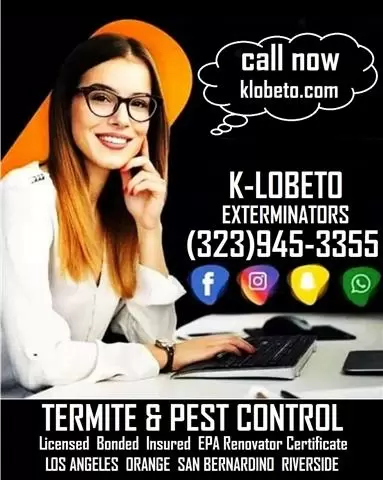 FUMIGACIONES 24/7 TERMITE-PEST image 2