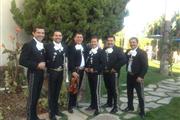 Mariachi Profesional thumbnail