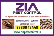 Zia Pest Control | Cockroach P en Caguas